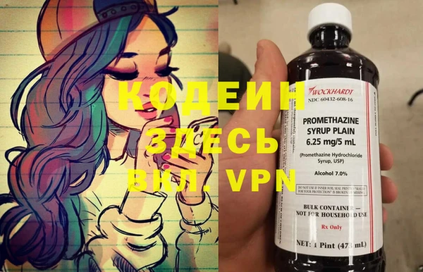 индика Беломорск