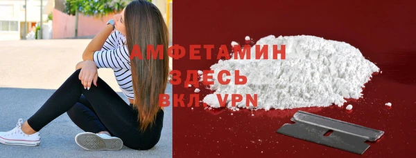 индика Беломорск