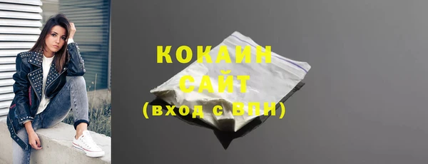 индика Беломорск