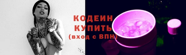 индика Беломорск
