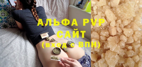 индика Беломорск
