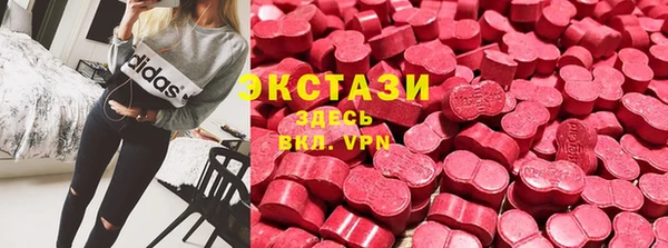 apvp Белокуриха