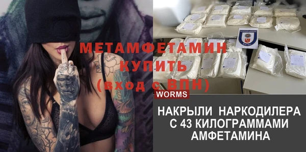 индика Беломорск