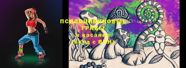 индика Беломорск