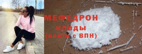 индика Беломорск