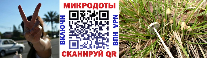 shop наркотические препараты  Вельск  Галлюциногенные грибы ЛСД  наркота 